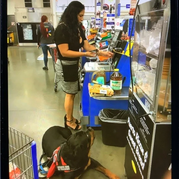 Bebe Black and Gray Midi Skirt - Picture 4 of 4